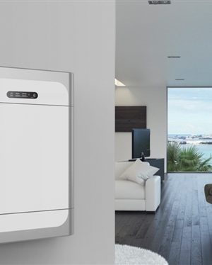 Homegrid Compact Series LFP 5.12kwh 51.2v